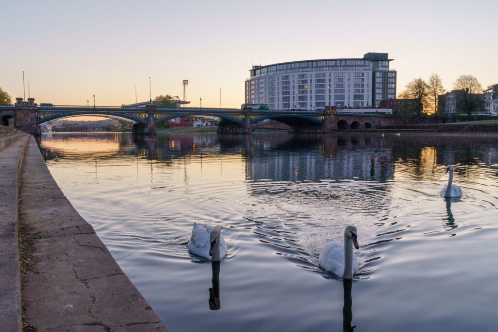 West Bridgford during sunrise, with swans in the river trent